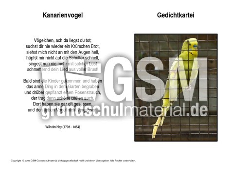 Kanarienvogel-Hey.pdf